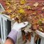 3+1 essential tasks to protect your home this Fall!